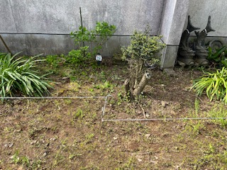 防草施工の現場 2