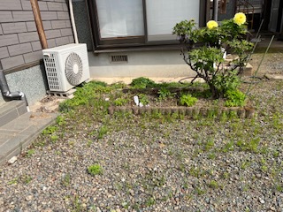 防草施工の現場 4